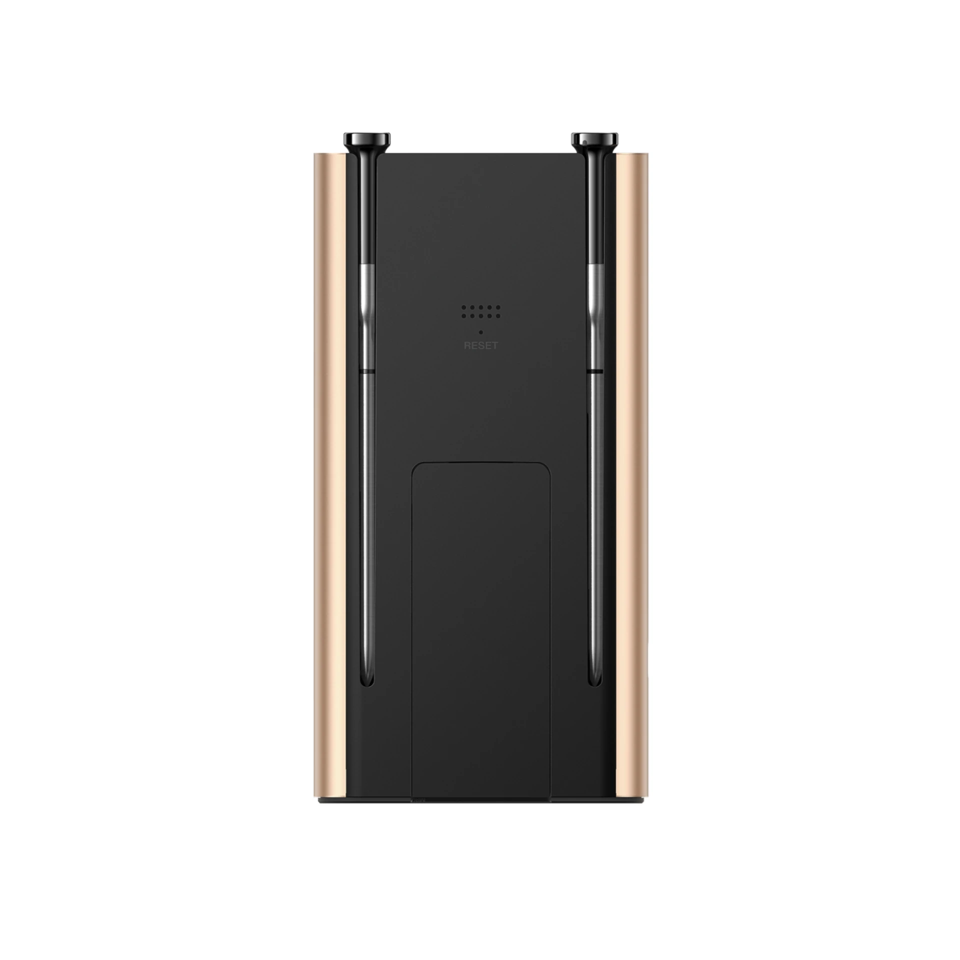 Bezprzewodowy inteligentny termometr Typhur Sync Gold Dual do grilla i mięs z WiFi i Bluetooth + 2 sondy Dynamic24 Bielsko-Biała